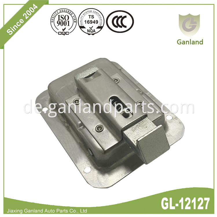 Stainless Steel Paddle Latch